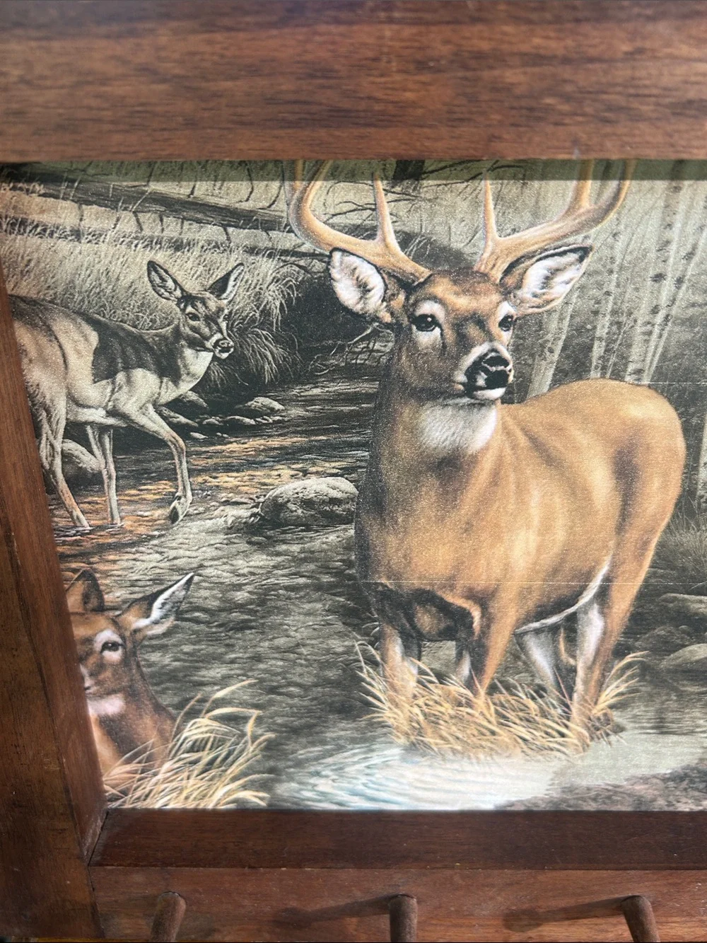 Vintage Framed Wildlife Wall Art with Pegs
